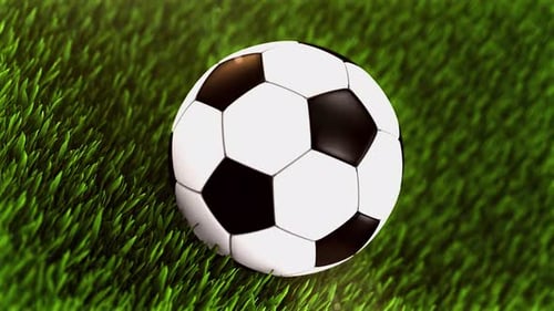 Animated Soccer Ball Spinning on Green Grass Field