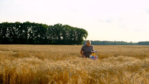 A Farmer in a Field of Wheat Checks Selective Focus