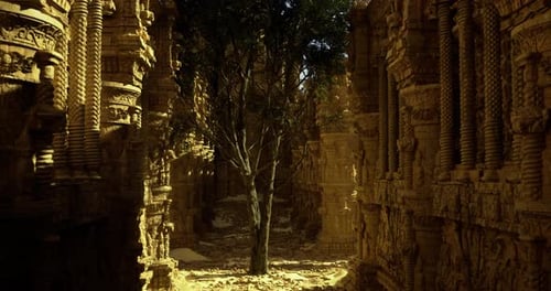 Exploring Ancient Ruins with Intricate Carvings and a Solitary Tree
