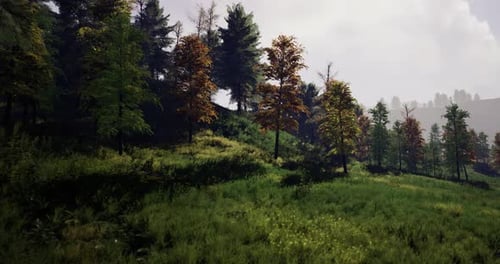 Beautiful Landscape Showcasing Vibrant Autumn Foliage in a Serene Forest