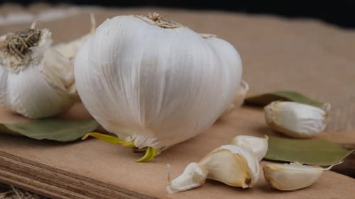 garlic close up