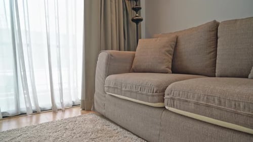 Modern Living Room Interior with Comfortable Couch