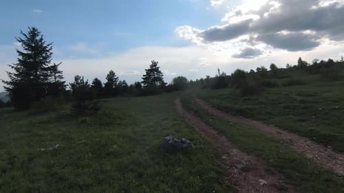 Fast and Maneuverable Flight Over the Old Country Road in Mountains with Pine Tree Forest Trees and