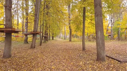 Walk Through The Autumn Park 03