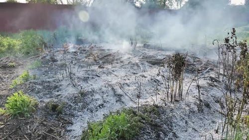 Feuer, das trockenes Gras und Zweige verbrennt und Rauch und Asche erzeugt