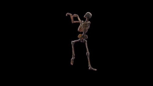 Animated dancing skeleton on black background