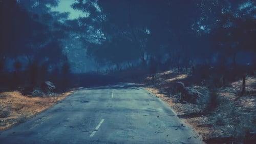 Clean Rural Road with Trees