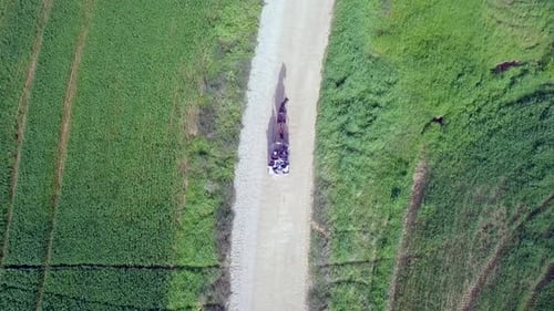 Horse and Buggy Ride on Dirt Road