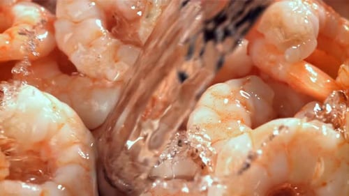 Water is Poured on Fresh Shrimp with Splashes Filmed on a Highspeed Camera at 1000 Fps