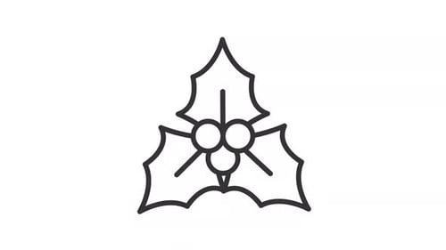 Holly leaves with berries ui icon line animation