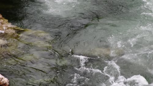 Shallow mountain river flowing downstream in rocky river bed. Swift water stream