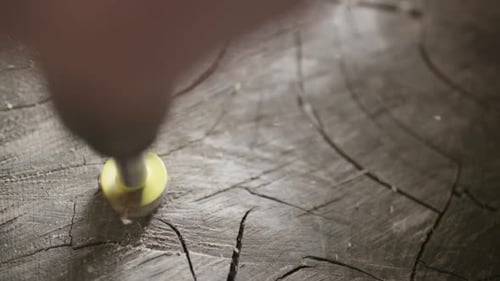 Closeup of Drilling Hole in Wood Log