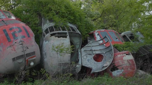 Old Helicopters Abandoned in Aircraft Graveyard in Forest