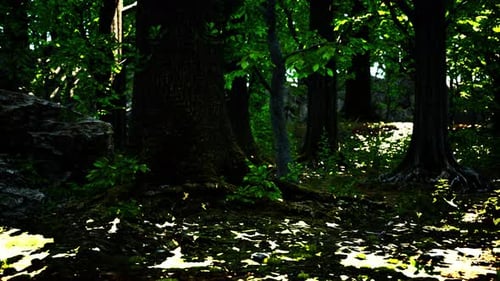 Tree Roots with Green Moss at Spring
