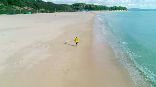 Aerial View of a Young Woman in Yellow Jacket Walking on Beach with Her Dog