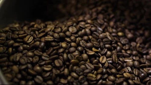 Close Up of Rotating Roasted Coffee Beans