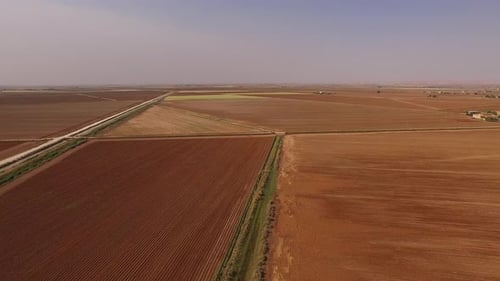 Aerial shot of a large wheat field