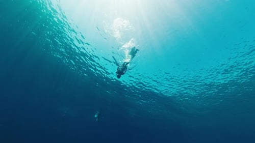 Freediver swims in the tropical sea. Man free diver dives and glides underwater in a sea