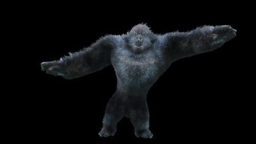 17 Gorilla tanzt HD
