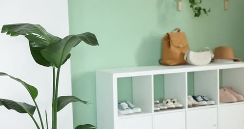 Rangement à chaussures avec différentes chaussures, manteaux sur étagère et plantes d'intérieur dans le couloir. La caméra se déplace vers la droite
