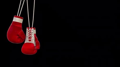 Realistic Red Boxing Gloves Swaying on a Transparent Background