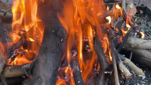 Eine Feuerstelle mit einem wütenden Holzfeuer