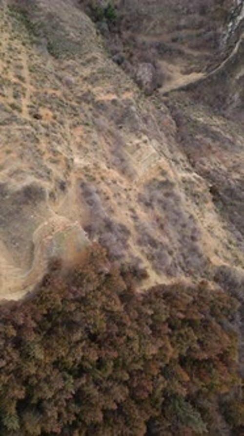 Aerial View Of Autumn Forest And Arid Desert Area Drone Flying Forward Over Brown Landscape Vertical