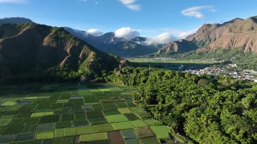 Vue aérienne du vaste paysage agricole de Sembalun, en Indonésie