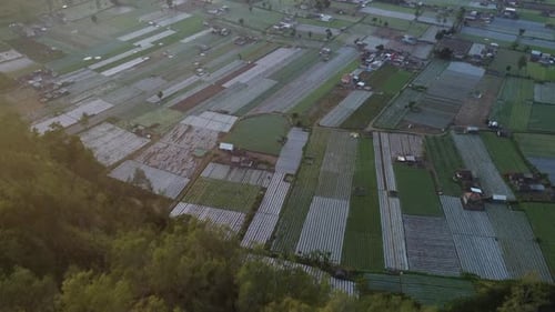 Luftbild über den Reisfeldern des Bergdorfs Tor Caldera.
Indonesien