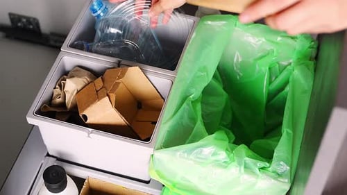 Recycling Different Wastes Into Separate Bins