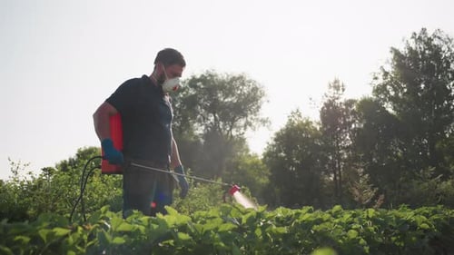 Farmer Sprays Crops with Mask and Protective Gear
