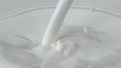Pouring Milk Creates Splashes and Ripples