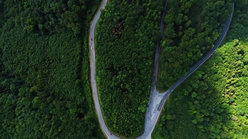 Winding road through green woods. A winding road cuts through a lush green forest