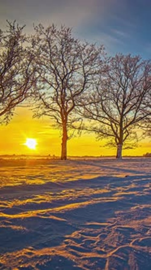Stunning Sunset and Tree Silhouettes over a Snowy Winter Landscape