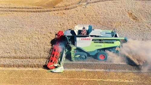 Drone Shot Flying Over Combine Harvesters Working on Wheat Field. Food Industry Concept.