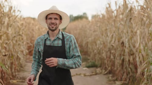Active Male Farmer is Jogging on Dirt Road Between Fields with Dry Corn Plants