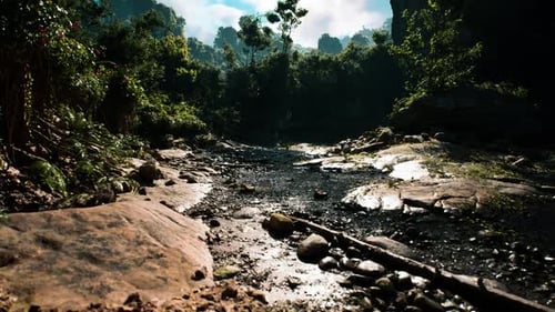 Explorez le lit paisible de la rivière dans le paysage forestier luxuriant du Myanmar