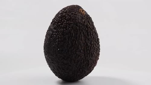 Close Up of Single Ripe Avocado on White