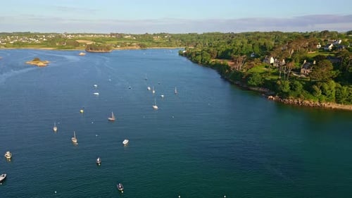 Backward drone movement from a harbor filled with anchored sailboats near forested coastline at Port