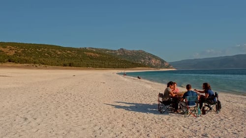 Friends Gather for Beach Picnic on a Summer Day