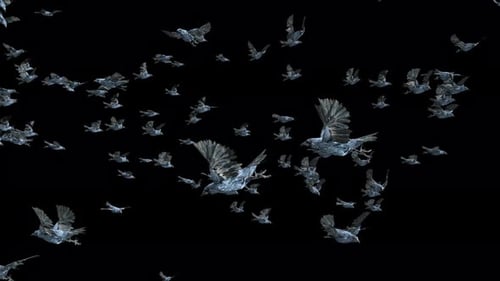 Crystal Birds Flock Flying Animation Loop
