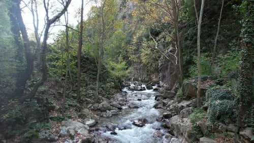 Small Mountain Creek