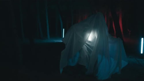 Scary Monster Walks Through the Forest at Night