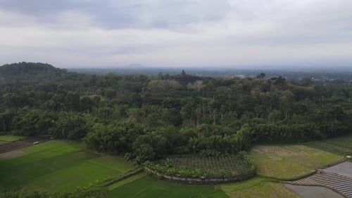 Vue aérienne du temple de Borobudur à Java, en Indonésie. Prise de vue panoramique avec vue sur la forêt.