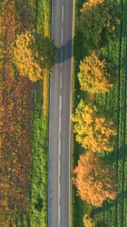 Top View of Autumn Road Aerial