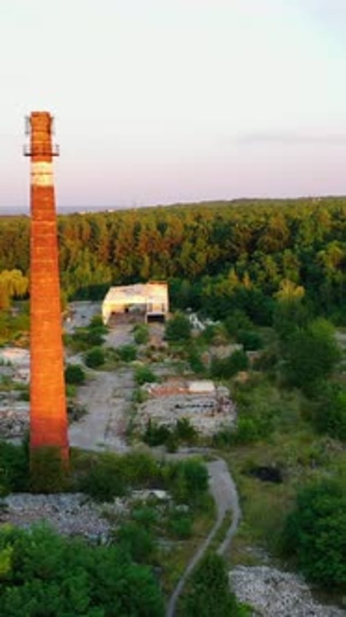 Old brick pipe among nature. Tall factory tower on abandoned place in the countryside