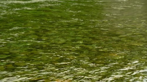 Clear Stream Flowing Over Rocks in Nature