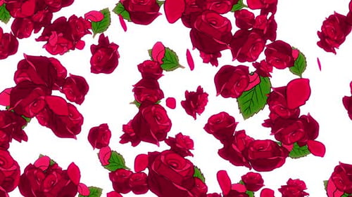 Rote illustrierte Rosen auf Weiß