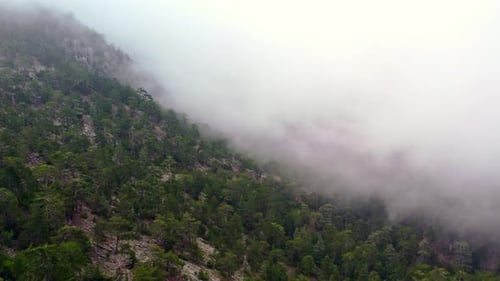 Forêts sauvages, montagnes