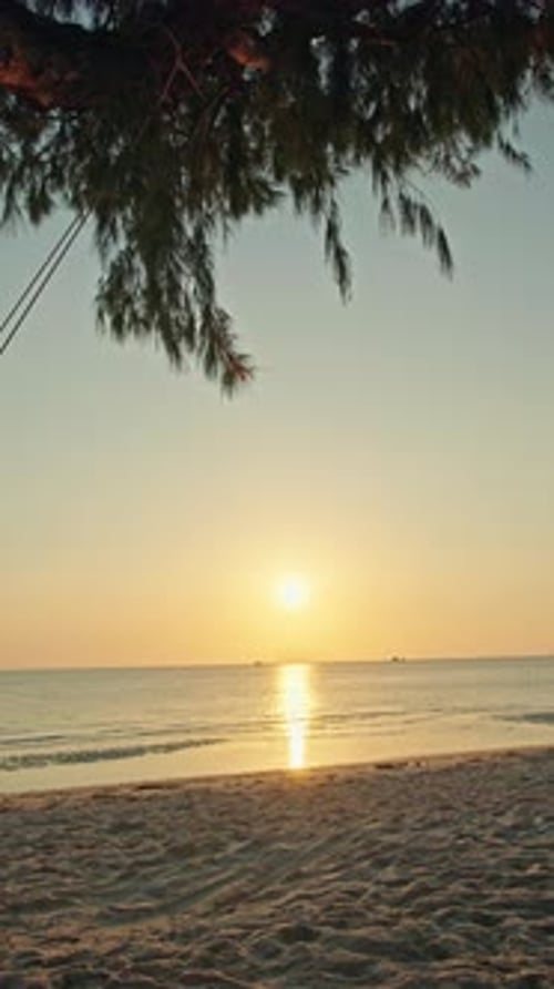 Teenage Girl Sitting on Wooden Swing at Tropical Beach During Sunset and Sunrise Silhouette Framed